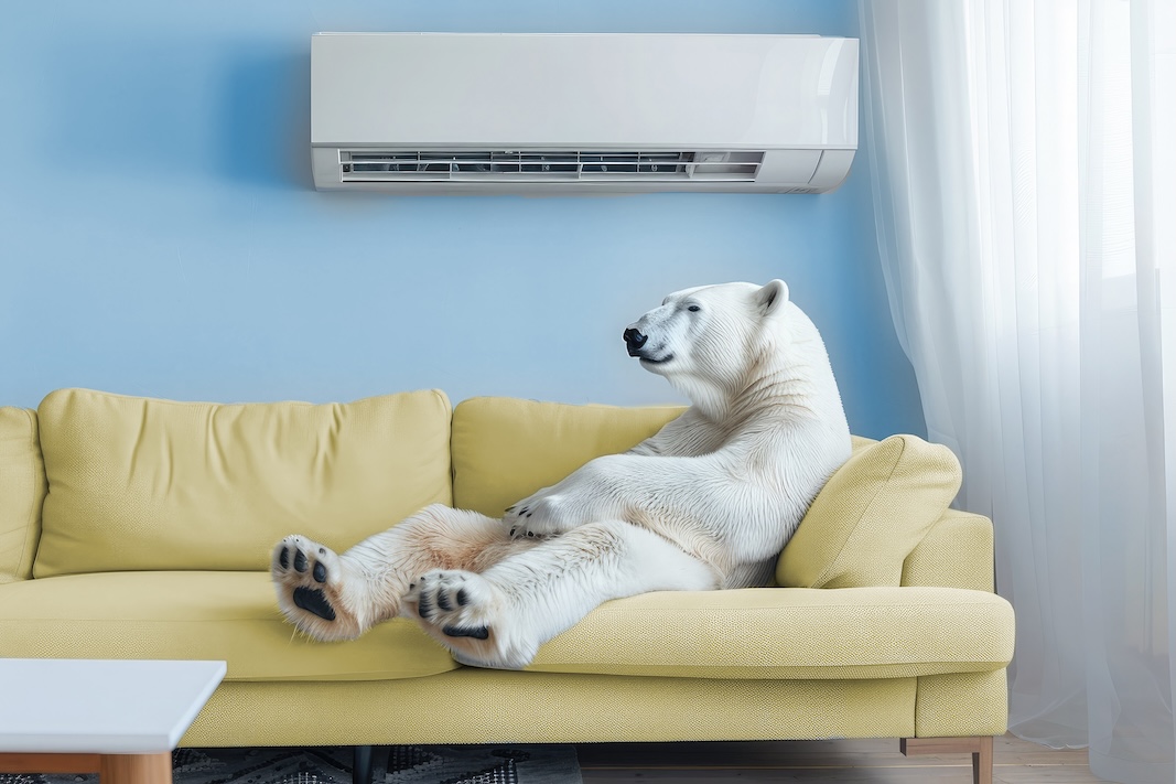 ARMEX ENERGY přichází s revoluční nabídkou: LÉTO–ZIMA s cenami elektřiny o 20 % nižšími než trh!